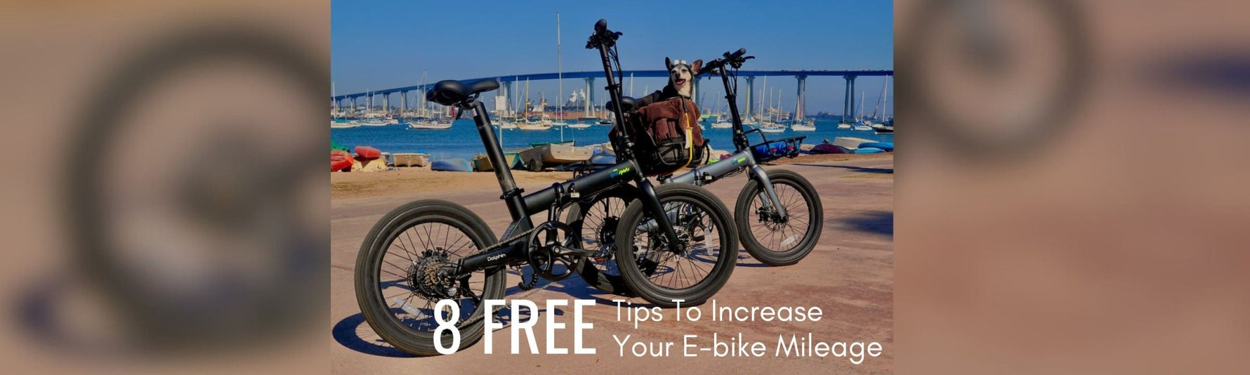 8 FREE Tips To Increase Your E-bike Mileage Qualisports USA