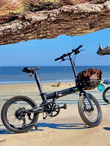 Qualisports Dolphin Folding Electric Bike with Pet Front Basket Parked on the Beach