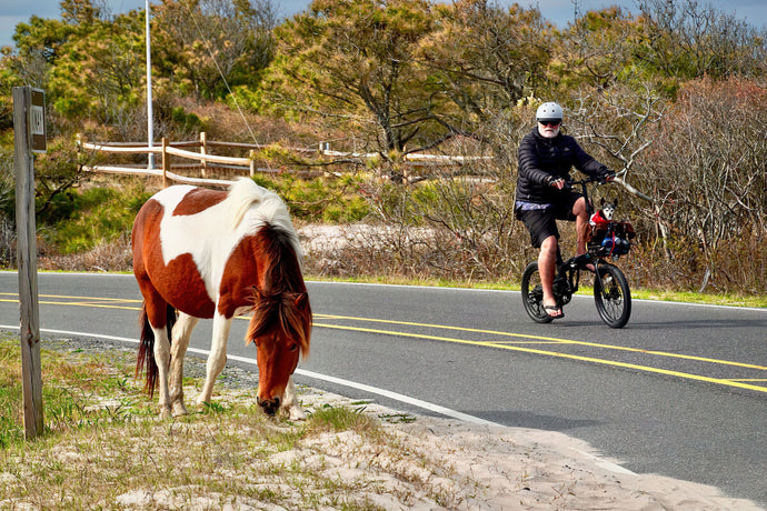 weekend riding